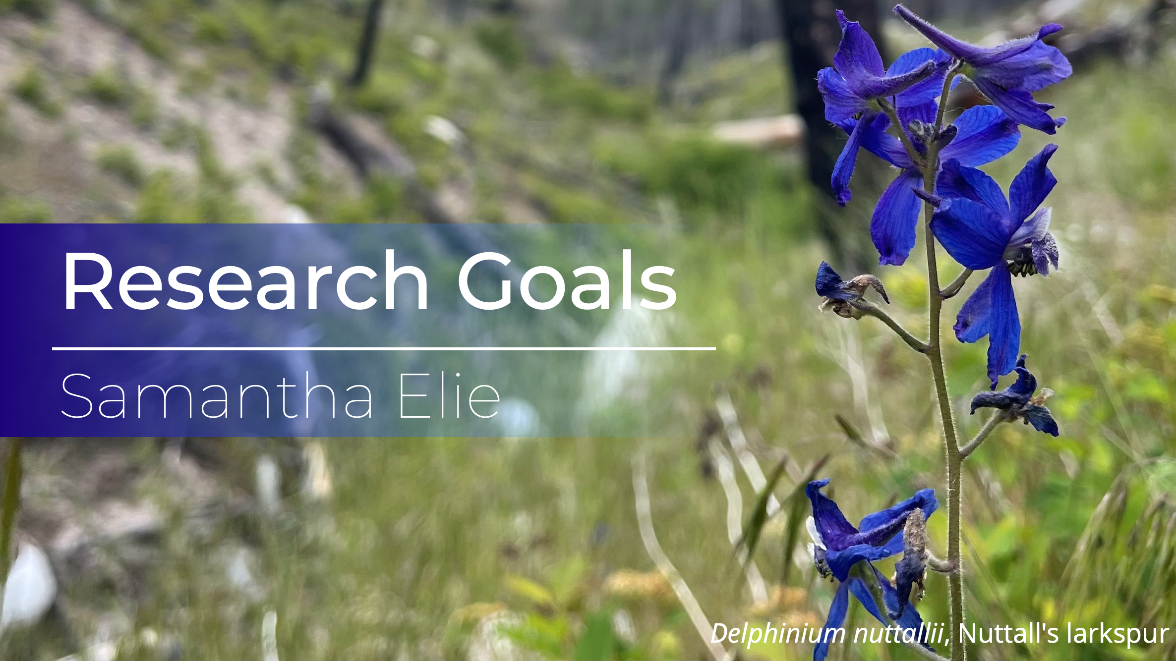 Research goals banner