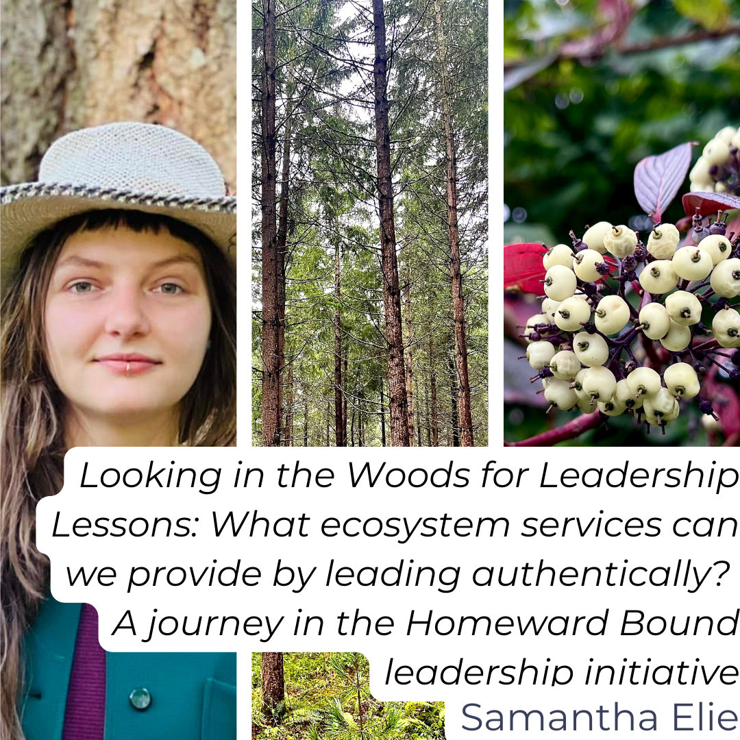 Looking in the Woods for Leadership Lessons: What ecosystem services can we provide by leading authentically?  A journey in the Homeward Bound leadership initiative