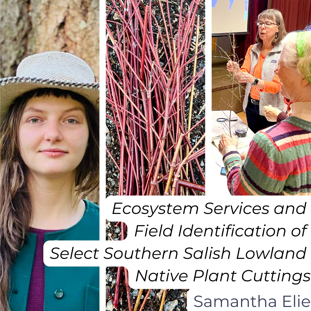 Ecosystem Services and Field Identification of Select Southern Salish Lowlands Native Plant Cuttings