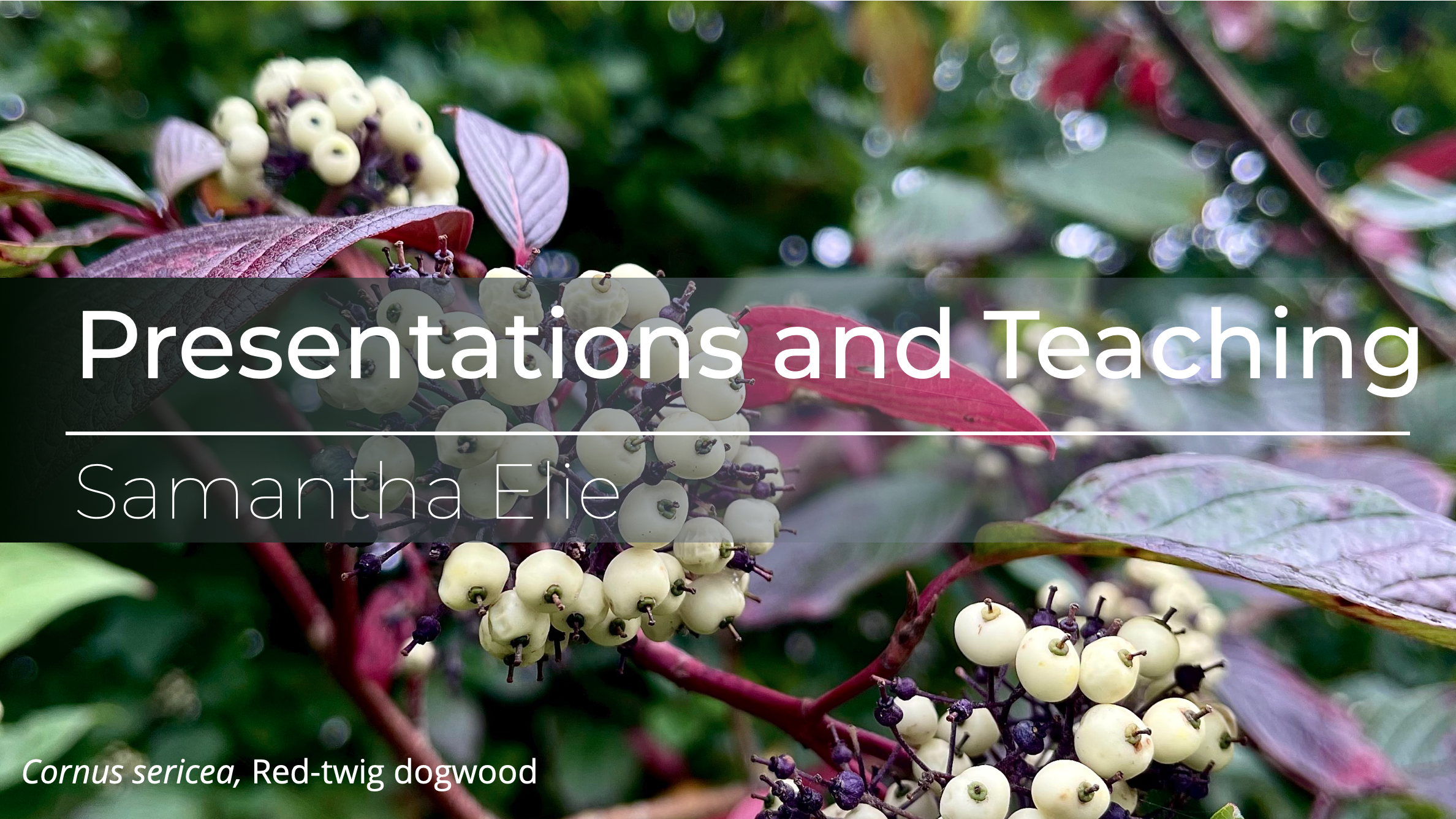 Presentations and Teaching header Presentations and Teaching header