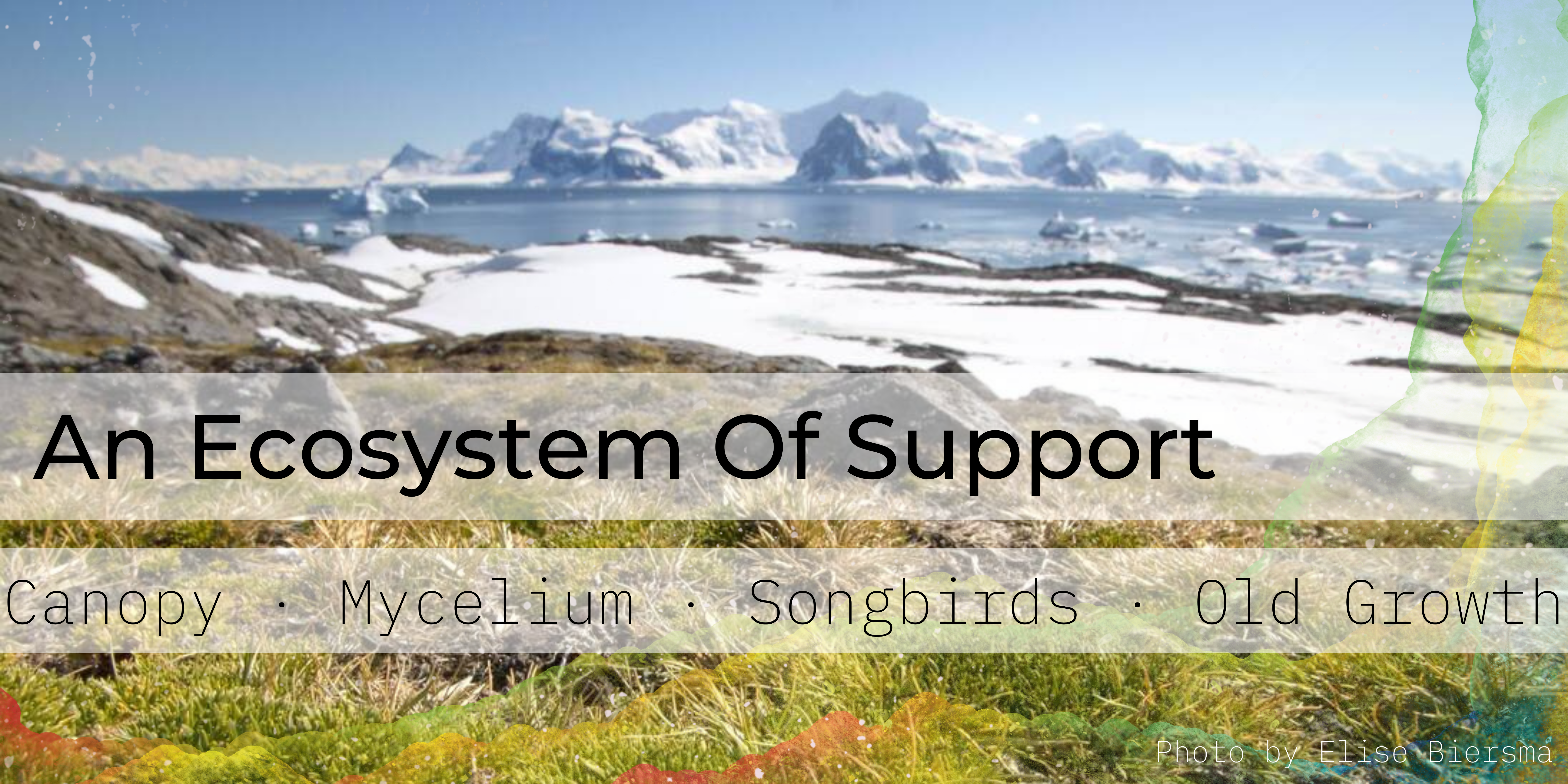 An Ecosystem Of Support