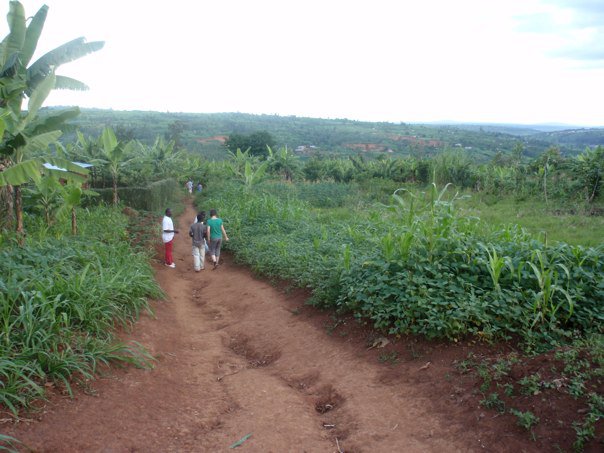 229315_10150252772606499_7872053_n Learning about crops from youth leading the collective in Rwanda