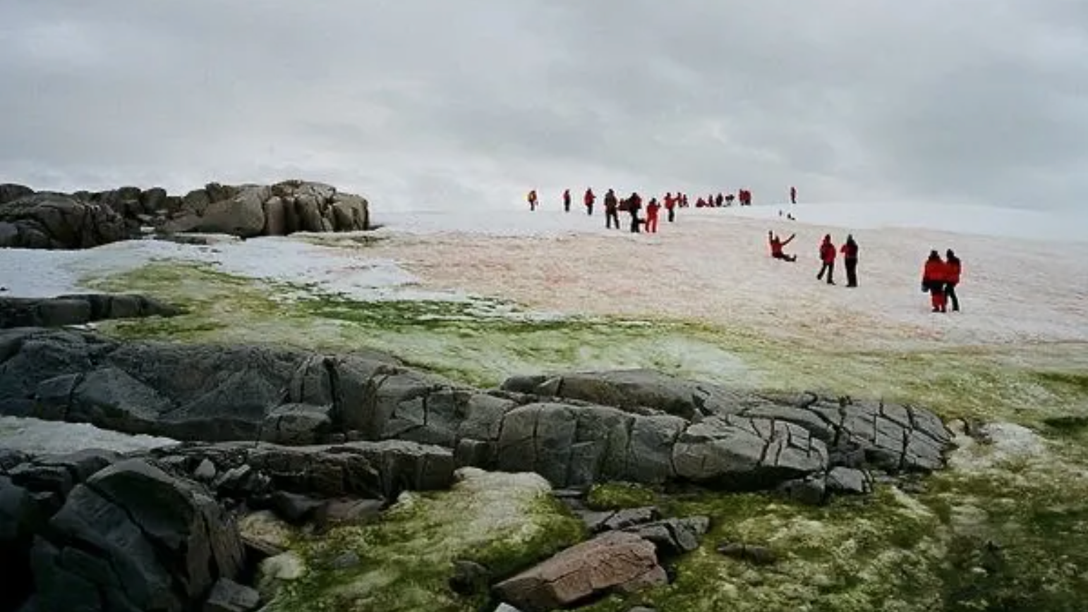 HB photo 3 olisansom Women of Homeward Bound with mossy and algae ice
