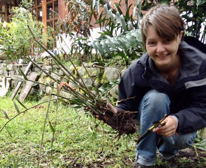 Sam transplanting orchids in Peru