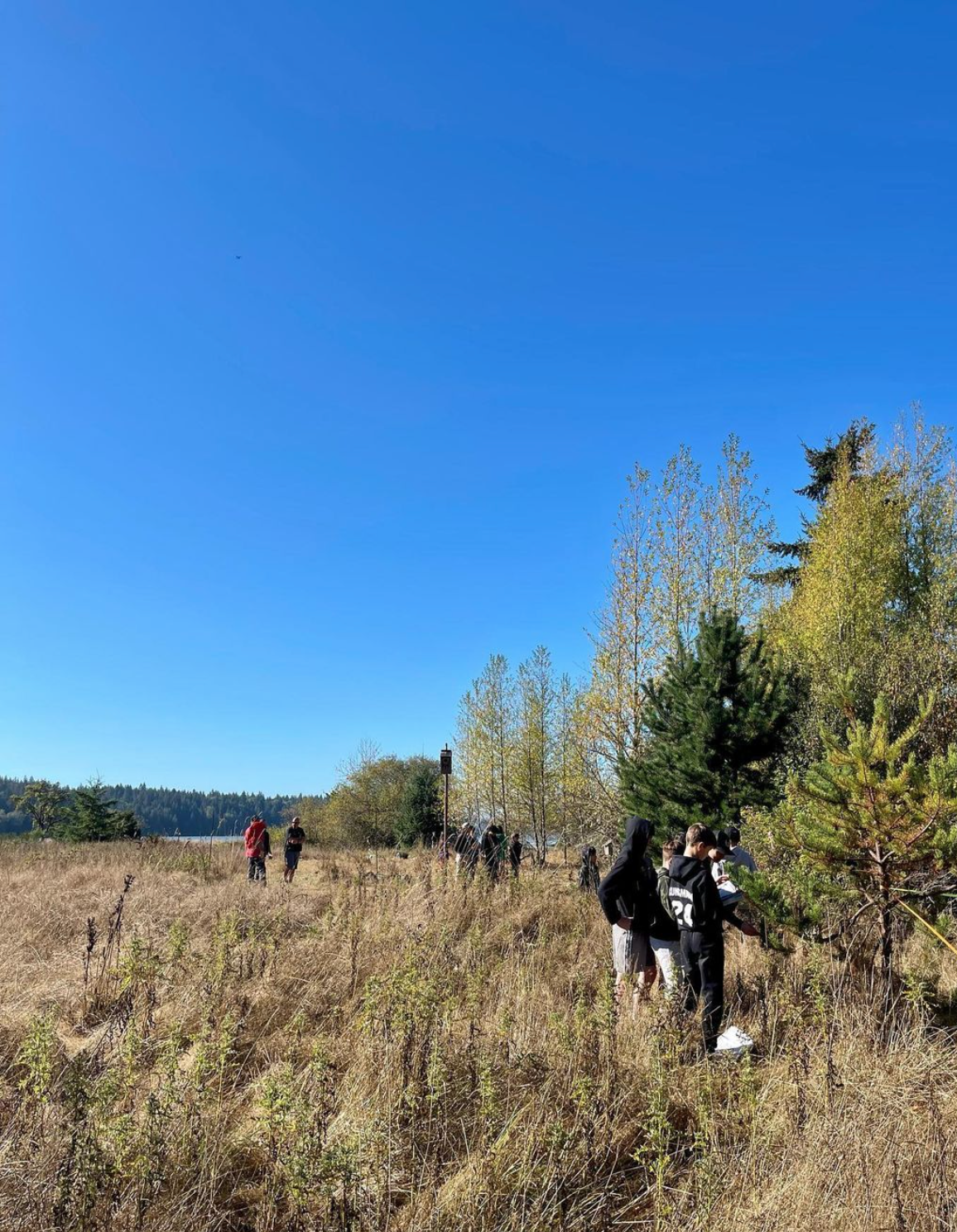 Students learning how to identify native plants to restore habitat