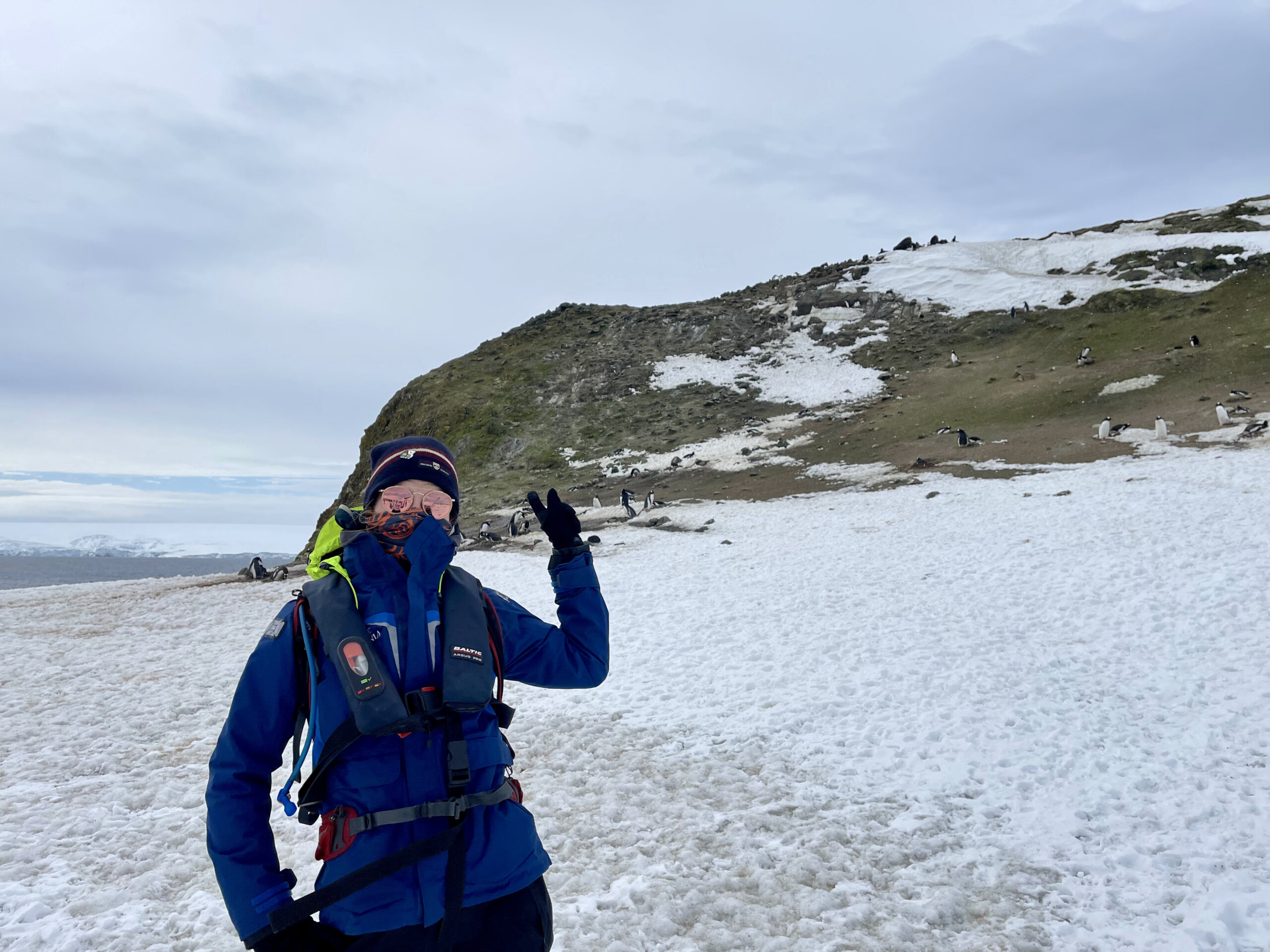 Samantha excited about Antarctic plant life on a hill with penguins