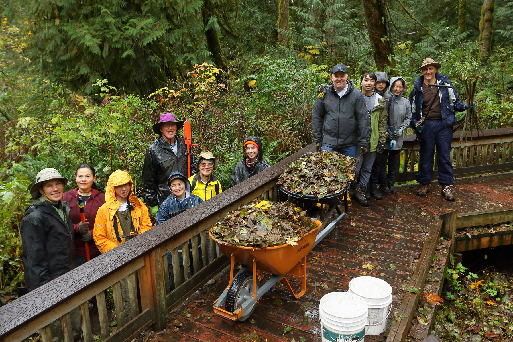 Volunteers restoring McLane Creek Nature Trail