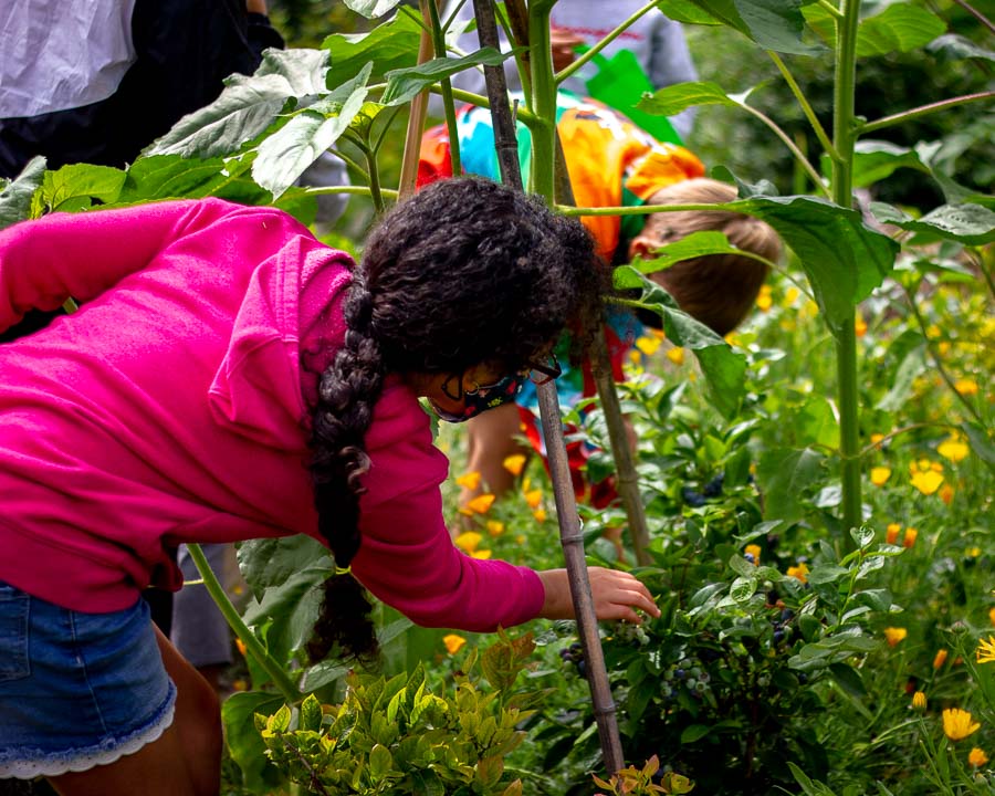Children working in a garden