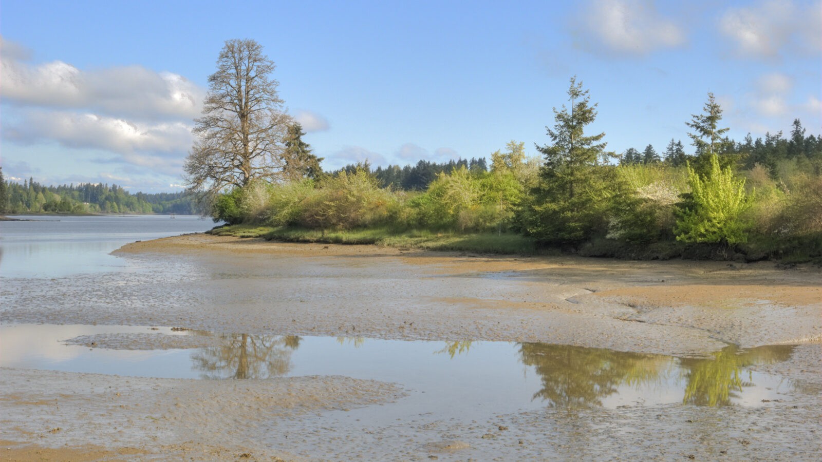 Estuary at Harmony Farm Preserve